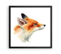 Affiche Poster 40x40cm Tableaux Image Photo renard animal nature Wall Art
