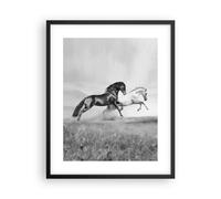 Affiche Poster 40x50cm Tableaux Image Chevaux Animaux galop prairie Wall Art