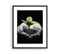Affiche Poster 40x50cm Tableaux Image Nature plante science protection Wall Art