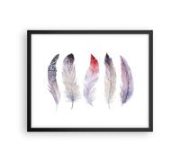 Affiche Poster 50x40cm Tableaux Image Photo Plume Animal Oiseau composition Art