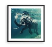 Affiche Poster 50x50cm Tableaux Image Photo éléphant animal eau Wall Art