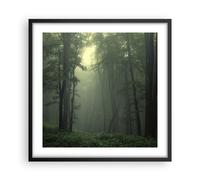 ARTTOR Poster Cadre Noir 50x50 cm Affiche Forêt Nature - 3543 - P2B