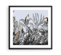 Affiche Poster 50x50cm Tableaux Image Photo Jungle Animaux Toucans Wall Art