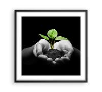 Affiche Poster 50x50cm Tableaux Image Photo Nature plante science protection Art