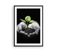 Affiche Poster 50x70cm Tableaux Image Nature plante science protection Wall Art