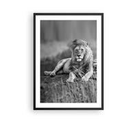 Affiche Poster 50x70cm Tableaux Image Photo lion animal nature Wall Art