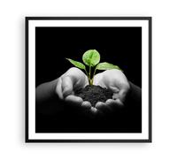 Affiche Poster 60x60cm Tableaux Image Photo Nature plante science protection Art
