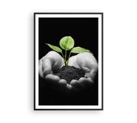 Affiche Poster 70x100cm Tableaux Image Nature plante science protection Wall Art