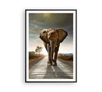 Affiche Poster 70x100cm Tableaux Image Photo Elephant Route Campagne Wall Art