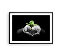 Affiche Poster 70x50cm Tableaux Image Photo Nature plante science protection Art
