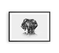 Affiche Poster 70x50cm Tableaux Image Photo ours animal Wall Art Decoration