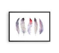 Affiche Poster 70x50cm Tableaux Image Photo Plume Animal Oiseau composition Art