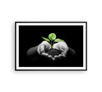 Affiche Poster 91x61cm Tableaux Image Photo Nature plante science protection Art