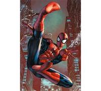 Affiche Poster Spider-Man - Web Sling - 61x91,5cm