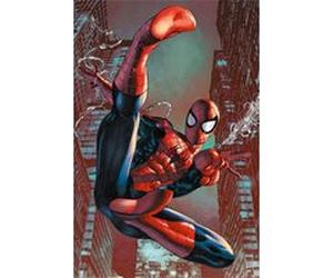 Affiche Poster Spider-Man - Web Sling - 61x91,5cm