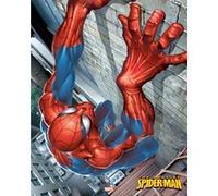 Affiche Poster SPIDERMAN Climbing 40x51cm