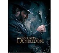 Affiche - Pyramid - Fantastic Beasts: The Secrest Of Dumbledore - Dumbledore Watch - 40x50cm G
