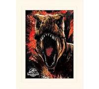 Affiche - Pyramid - Jurassic World Fallen Kingdom (T-Rex Sketch) - Avec Passe-Partout - 30x40cm G