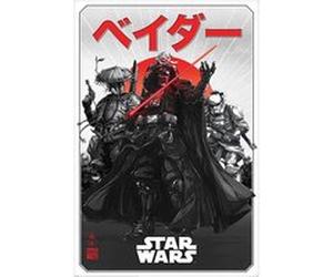 Affiche - Pyramid - Star Wars - Visions - 661x91,5cm G