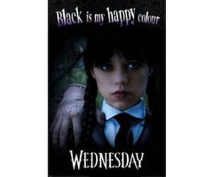 Affiche - Wednesday / Mercredi - Black is My Happy Colour - 61x91,5cm G