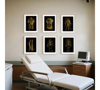 Affiches d'art vintage sur l'anatomie de la colonne vertébrale humaine, système squelettique musculaire doré, cadeau pour étudiant en médecine, décoration de clinique et de cabinet médical PB34082