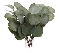 AffinityFurn Lot de 6 Branches Eucalyptus Artificiel de 28.5 cm, Eucalyptus Seches Naturel Décoration de Mariage, Maison, Vase, Décoration de Table, Fête, Baptême