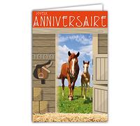 Afie 67-1225 Carte Joyeux Anniversaire Fer à cheval Porte-Bonheur Jument Poulain Animaux Ecurie Equitation Cavalier Cavalière Avec Enveloppe Blanche format 12x17,5cm