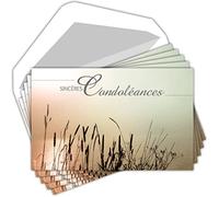 Afie Pochette de 5 Cartes Sincères Condoléances Nos pensées affectueuses vous soutiennent dans l'epreuve feuilles Décès Deuil Fabriqué en France