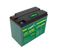 AFTERTECH LIFEPO4 - Bloc-batterie 12 V 42 Ah, rechargeable, lithium-fer-phosphate, pile