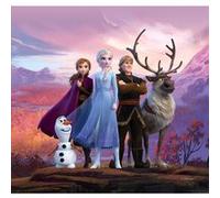 AG ART Coussin Disney La Reine des Neiges 2 dans la forêt 40x40 cm Multicolors G