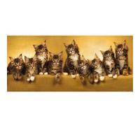 AG ART Kittens, photo murale intissée, 202 x 90 cm, 1 part