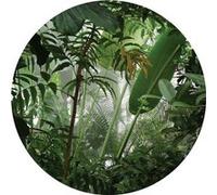AG ART Papier peint intissé auto-adhésif rond Thème Jungle - 140 x 140 cm Multicolors G