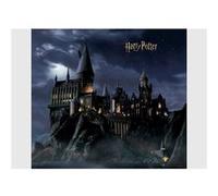 AG ART Papier peint intissé Château de Poudlard -dans la nuit Harry Potter - 300 x 270 cm 4 lés Multicolors G