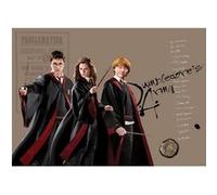 AG ART Poster intissé - Harry Potter et ses amis - Hermione et Ron - 155 x 110 cm Multicolors G