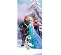 AG ART Poster porte La Reine des Neiges Disney Frozen intisse 90X202 CM Multicolors G