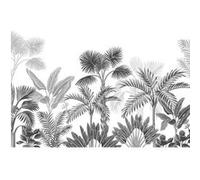 AG ART Poster Thème palmier noir et blanc - 360 x 254 cm Multicolors G