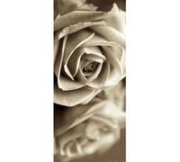 AG ART Sepia rose, intissé photo mural, 90 x 202 cm, 1 part