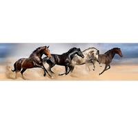 AG Design - Frise Murale Adhesive - Les Chevaux - Auto-adhesif - Frise autocollante - Sticker Mural - 0,14 x 5 m - WB 8242