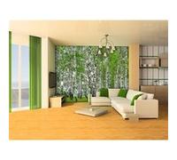 AG Design - Papiers Peint Photo - Berry-Bouleau - Tapisserie Photo - Poster Photo géant - 360x254 cm - 4 lés - FTS 1304 G