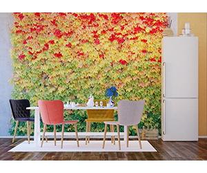 AG Design - Papiers Peint Photo - Feuilles - Tapisserie Photo - Poster Photo géant - 360x254 cm - 4 lés - FTS 1337