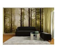 AG Design - Papiers Peint Photo - Forêt du Matin - Tapisserie Photo - Poster Photo géant - 360x254 cm - 4 lés - FTS 0181 G