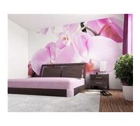 AG Design - Papiers Peint Photo - Grande orchidée Violette - Tapisserie Photo - Poster Photo géant - 360x254 cm - 4 lés - FTS 0049 G