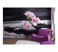 AG Design - Papiers Peint Photo - Rose sur des Pierres - Tapisserie Photo - Poster Photo géant - 360x254 cm - 4 lés - FTS 0185 Rose G