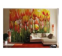 AG Design - Papiers Peint Photo - Tulipe Grande - Tapisserie Photo - Poster Photo géant - 360x254 cm - 4 lés - FTS 0045 G