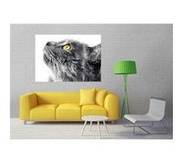 AG Design - Papiers Peints intissé - Chat - Tapisserie Photo - Poster Photo géant - 160x110 cm - 1 lés - FTNM 2670