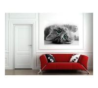 AG Design - Papiers Peints intissé - Chatte - Tapisserie Photo - Poster Photo géant - 160x110 cm - 1 lés - FTNM 2605 G