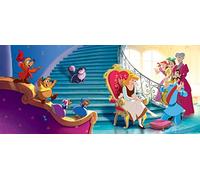 AG Design - Papiers Peints intissé - Princesse Disney - Tapisserie Photo - Poster Photo géant - 202 x 90 cm - 1 lés - FTDNH 5364