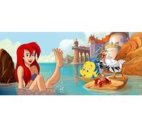 AG Design - Papiers Peints intissé - Princesse Disney - Tapisserie Photo - Poster Photo géant - 202 x 90 cm - 1 lés - FTDNH 5363