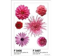 AG f 0406 autkleber Mural Design Autocollants en Forme de Fleurs G