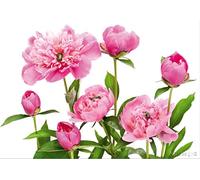AG fTxxl 0115 Photo intissé Motif Palmiers photomurals Pivoine-Mural
